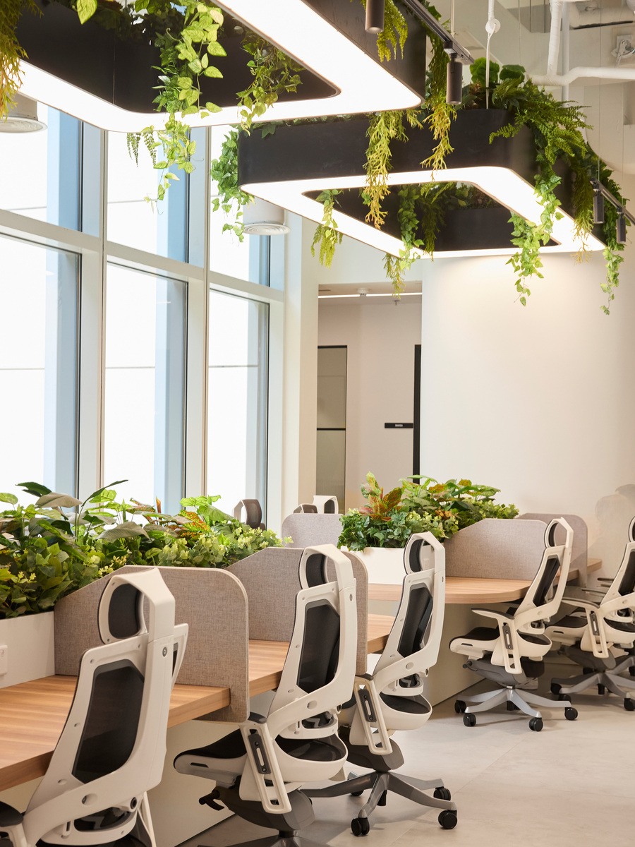 Bright coworking desks beneath hanging planting