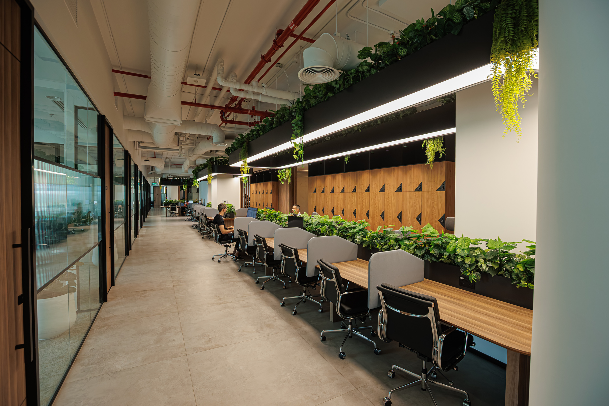 The coworking floor at Dubai Hills, desks and planting the length of the corridor