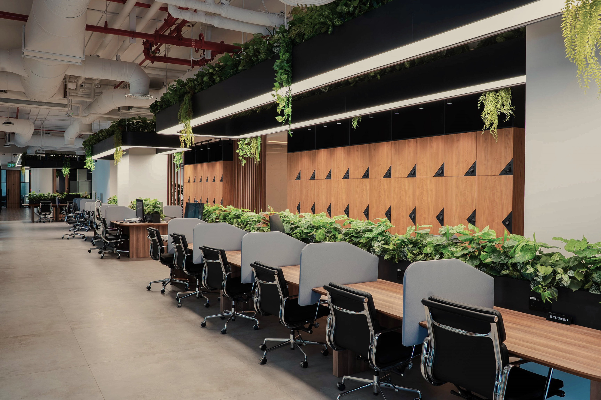 How to network at a co-working space