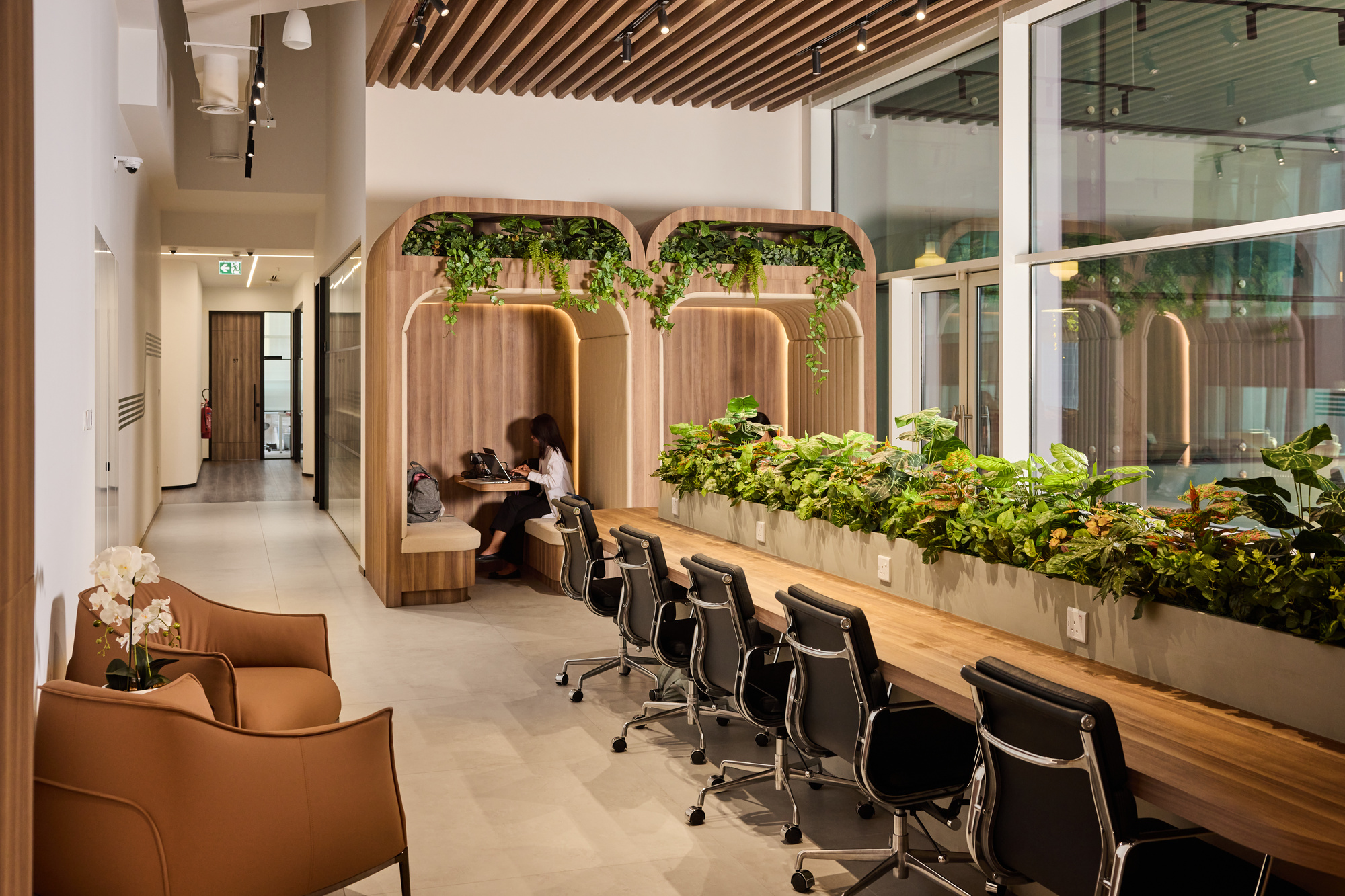 Coworking desks in arched walnut bays at Vision Tower, banked with planting